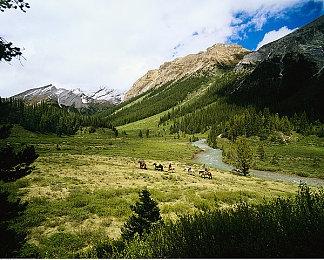 经典恐怖解谜《恐怖美术馆》Switch实体版内容 3月9日发售